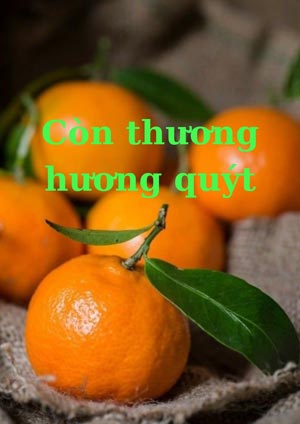 Còn Thương Hương Quýt - Adam. cc