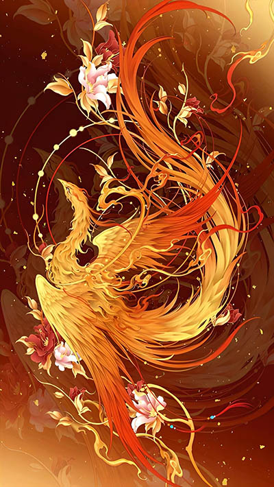 Mỗi Ngày Kim Ô Đều Bận Rộn