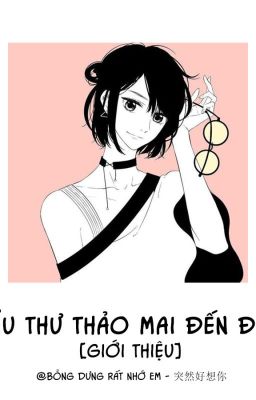 Tiểu Thư Thảo Mai Đến Đây!