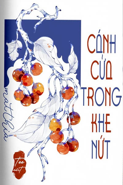 Cánh Cửa Trong Khe Nứt - Matthia