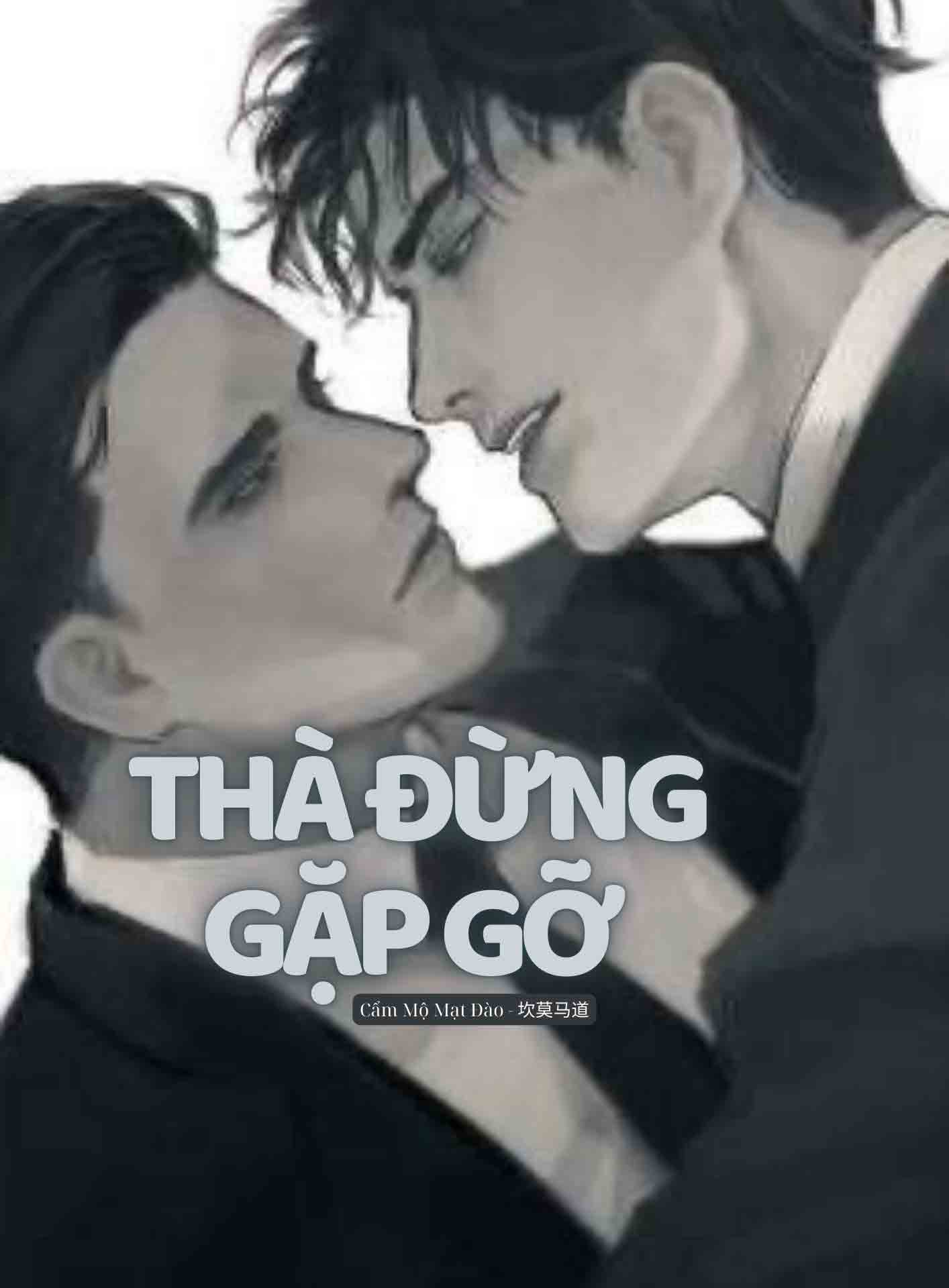 Thà Đừng Gặp Gỡ (Đam Mỹ)