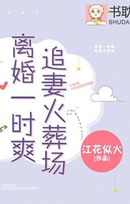 Ly Hôn Nhất Thời Sảng, Truy Thê Hỏa Táng Tràng