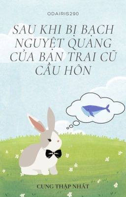 Bị Bạch Nguyệt Quang Của Bạn Trai Cũ Cầu Hôn