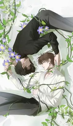 Bầu Sao Ôm Vào Lòng