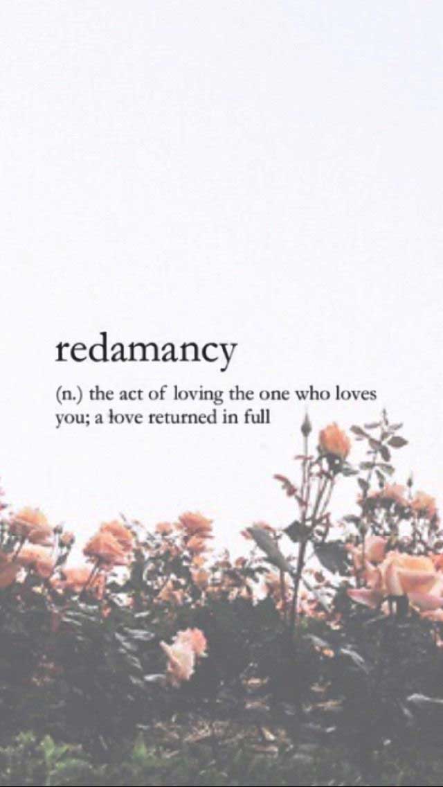 Redamancy