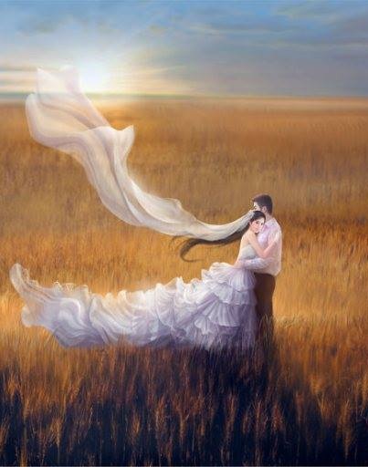 Yêu Như Bốn Mùa