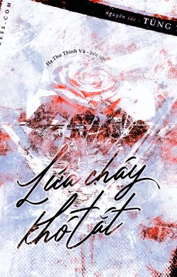 Lửa Cháy Khó Tắt - Tùng Tử Trà