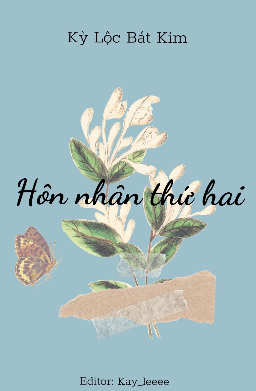 Hôn Nhân Thứ Hai