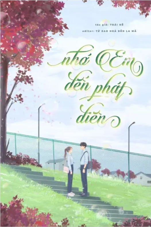 Nhớ Em Đến Phát Điên - Toái Hề